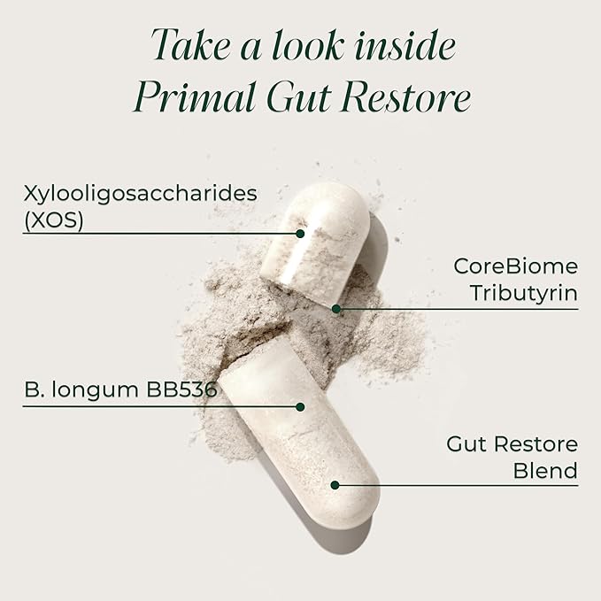 Primal Harvest 2 Pack Restore for Gut Health Primal Gut Restore w/POSTbiotics PREbiotics and PRObiotics for Women and Men 60 CT - Digestion Colon Cleanse Helps Leaky Gut Repair