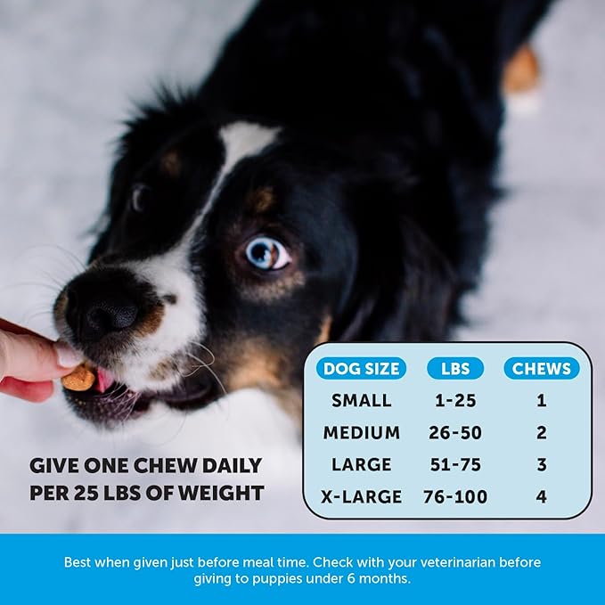 Pet Honesty Omega Skin Health Chews for Dogs Alaskan Salmon Oil Omega-3 Fish Oil Krill Spirulina Omega-3s Healthy Skin &amp Coat Itchy Skin Dog Allergies May Reduce Shedding (90 Count)