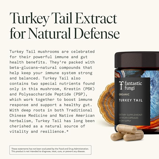 Fantastic Fungi Turkey Tail Mushroom Capsules - Organic Mushroom Extract for Gut Health &amp Immune Support Functional Adaptogenic Turkey Tail Extract Supplement Vegan Pills 120 Caps (2-Month Supp
