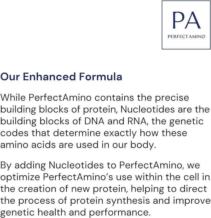 BodyHealth Probiotic Enhanced with PerfectAmino for Women and Men Spore Based with Bifidobacterium Lactobacillus Salivarius Lactobacillus Acidophilus - 60 Capsules
