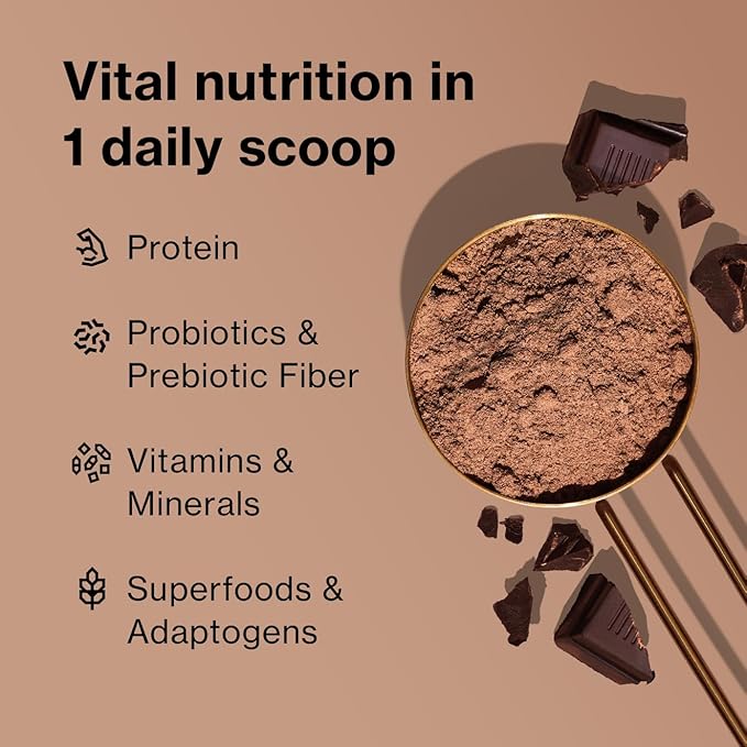 BODi Shakeology Whey-Based Protein Powder – Gluten-Free Superfood Shake with Vitamins &amp Minerals – Helps Support Healthy Weight Loss &amp Gut Health Chocolate 14 Individual Packets