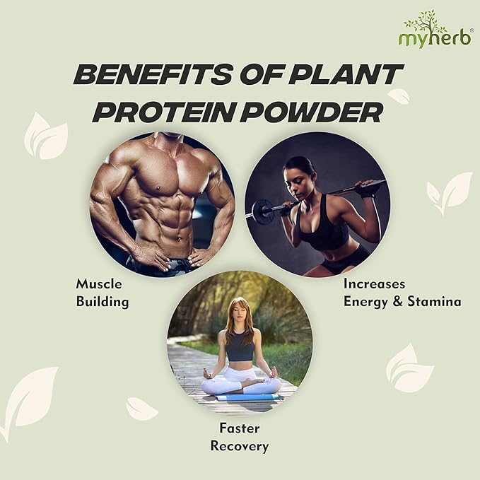 MYHERBS Plant Protein Powder | Pea and Brown Rice Protein Powder | Vegan High Protein Powder | 27 gm Protien21 Vital6 gm BCCAs | Sugar Free | for Men and Women | Chocolate Flavour (1 Kg)