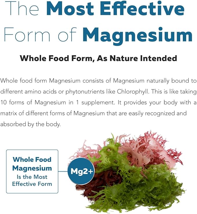 Organic Whole Food Magnesium Supplement - Plant-Based Organic Sea Vegetable Complex - 250 mg Per Serving | Water Extracted | Gentle on Stomach | Supports Energy Sleep Muscle Heart - 60 Capsules