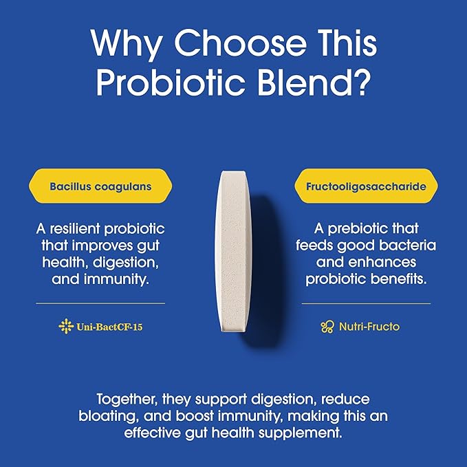 Nutrition Essentials Probiotics for Women and Men with Natural Lactase Enzyme &amp Prebiotic Fiber for Digestive Health - 80percent + Stronger Supplement for Gut Health Support - 3 Count of 60 Tablet
