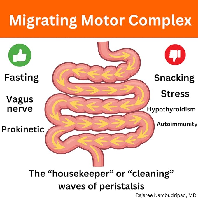 Motility Activator by Dr. Rajsree MD | Digestive Support for Gas Bloating &amp Occasional Constipation | Promotes Small Intestine Movement | Ginger &amp Artichoke Extract | 60 Capsules