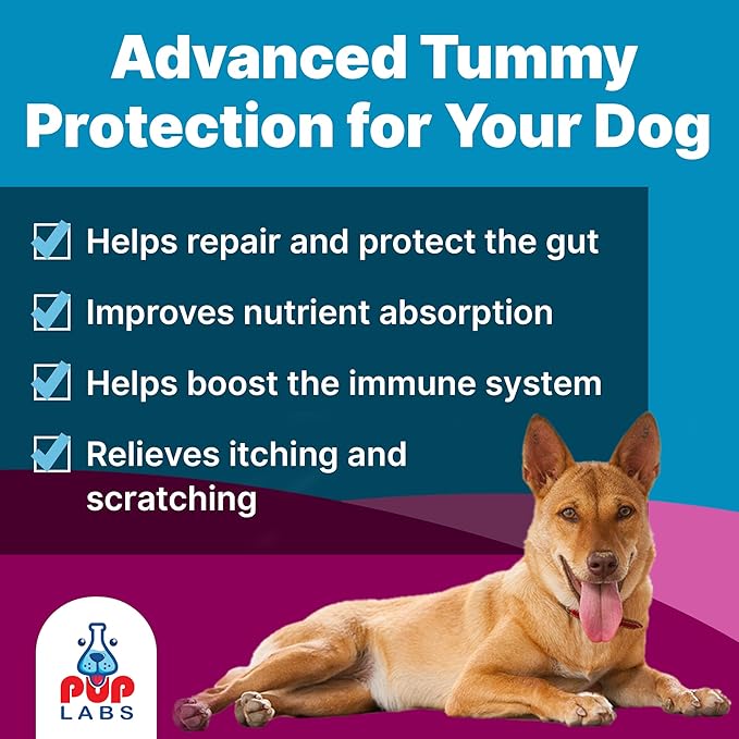 K9 Belly Bliss All-Natural Gut Health for Dogs Vet Approved Prebiotic for Dogs for Daily Digestive Support &amp Dog Constipation Relief Topper for Dry &amp Wet Food 6 Pack with 30 Scoops Each.