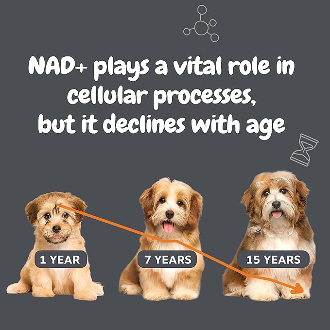 Zesty Paws NAD+ Precursor Supplement for Dogs - Niagen for Healthy Aging &amp Skeletal Muscle Support &amp Recovery - Brain Heart &amp Cellular Energy Support - Nicotinamide Riboside Chloride – 3