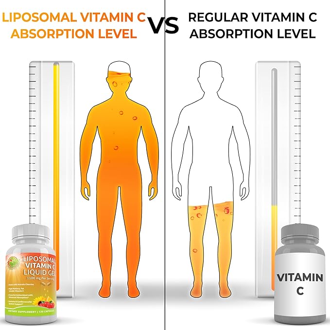 Immune Support Bundle - Quercetin with Bromelain Vitamin C &amp Zinc + Liposomal Vitamin C 1100mg – with Organic Whole Food Blend &amp Acerola Cherry – Antioxidant Respiratory &amp Cardiovascular