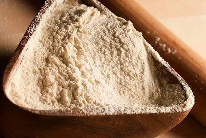 Prescribed For Life Rice Protein Powder | Non GMO Whole Grain Brown Rice Protein Concentrate Powder - 80% Protein (10kg / 22lb)