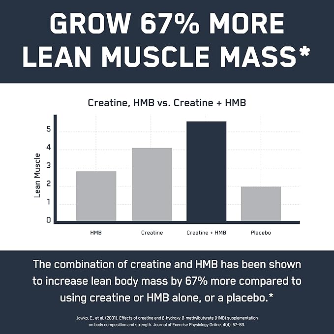 SteelFit Creatine HMB Powder - 5g Creapure Creatine Monohydrate Powder 3g myHMB &amp 1000 IU Vitamin D - Workout Supplement Supports Muscle Growth Strength Recovery &amp Energy - Unflavored 30 S