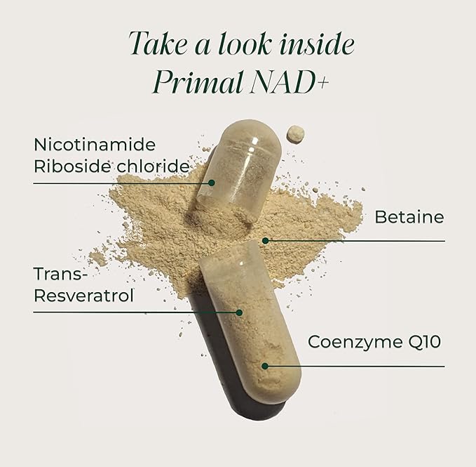 Primal Harvest NAD+ Supplement: Nicotinamide Riboside Trans-Resveratrol Betaine CoQ10 NAD Supplements for Cellular Health Energy and Mitochondrial Support
