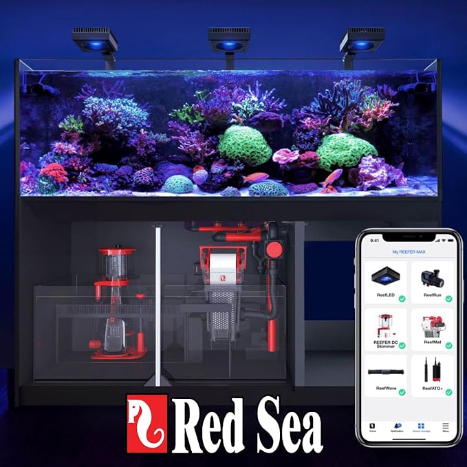 Red Sea Reef Foundation A (Ca/Sr) Supplement 1000ml - Calcium &amp Strontium Additive for Healthy Coral Growth in Marine &amp Reef Aquariums