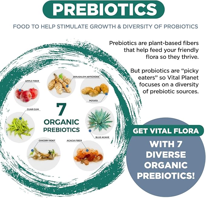 Vital Planet - Vital Flora Men 55+ Daily Probiotic 60 Billion CFU 60 Diverse Strains 7 Organic Prebiotics Immune Support Gas Relief Colon and Digestive Health Probiotics for Men 30 Capsules