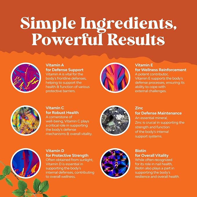 Bundle of Potent Daily Multivitamin Gummies - Wellness Blend of Vitamin D A C E B12 Zinc &amp Biotin for Energy &amp Immunity and Vitamin D3 Gummies with D3 2000IU per Serving Bone Muscle &amp Immu