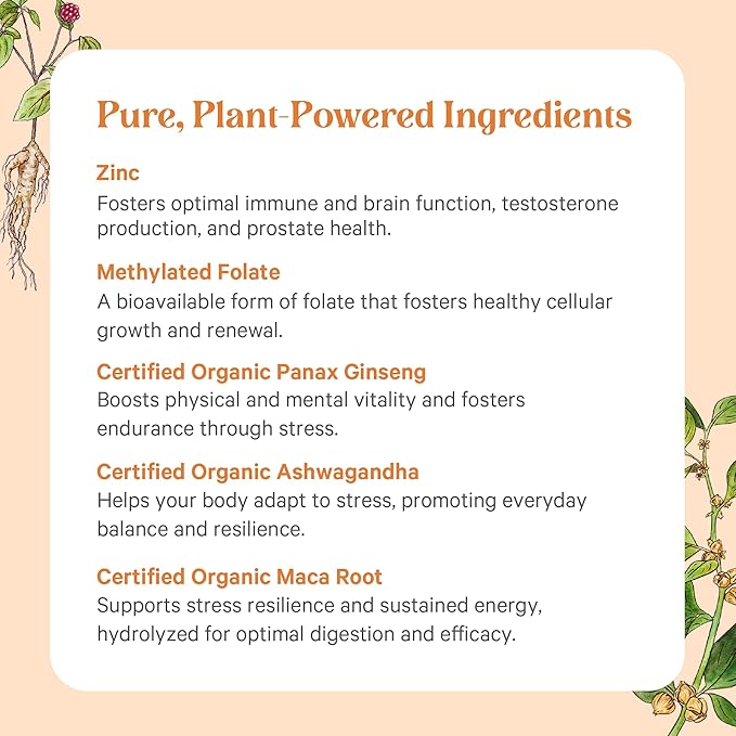 PURE SYNERGY Vita·Min·Vitality | Natural Multivitamin for Men | Men’s Daily Multivitamin Made with Organic Whole Foods | for Energy Stress and Immune Support (60 Tablets)