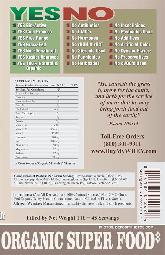 Organic Whey Protein Powder Grass-Fed Cold Process Grade-A Milk rBST Hormone-Free Chocolate Protein Powder No Preservative Pure Whey Protein 42g of Protein in Just 2 Scoops (1 Pound 2 Pack Chocolate)