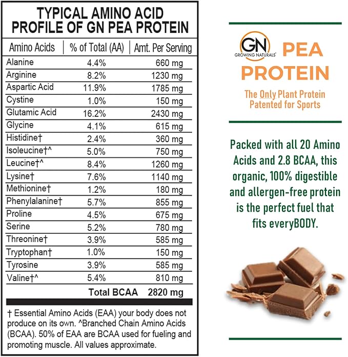 Growing Naturals Raw Pea Protein Powder Vegan Plant Based Protein BCAA Low-Carb Low-Sugar Chocolate Power 1 Pound (Pack of 1)