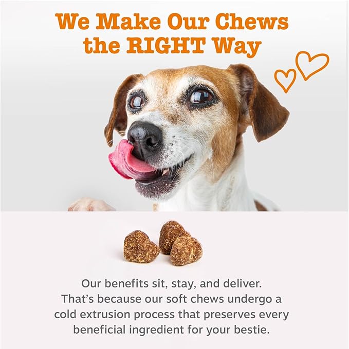 Zesty Paws Dog Multivitamin Chewable Dog Vitamins and Supplements for Hip &amp Joints Skin &amp Coat Omega 3 Fish Oil for Dogs- Senior &amp Puppy Multivitamin - Chicken- 250ct