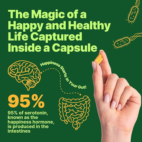 Akkermansia Muciniphila + Probiotic Postbiotic &amp Inulin - Gut Health Supplement for Digestion Immune Support - 10 Billion CFU Vegan &amp Gluten-Free