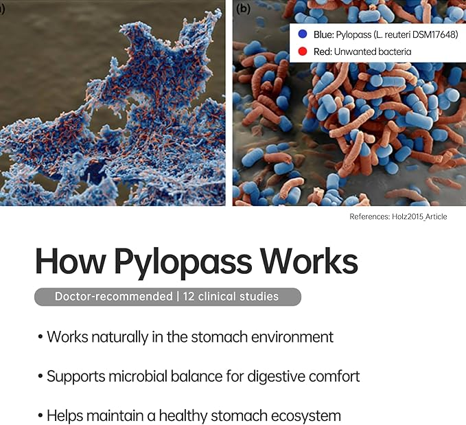 4 Pack MagenVital Pylopass H. Pylori Probiotic Supplement - 1 Per Day - Gastritis Acid Reflux Heartburn Stomach Lining Repair - Lactobacillus Reuteri DSM17648 - Made in Germany