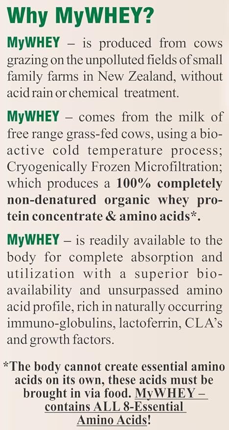 Organic Whey Protein Powder Grass-Fed Cold Process Grade-A Milk rBST Hormone-Free Chocolate Protein Powder No Preservative Pure Whey Protein 42g of Protein in Just 2 Scoops (1 Pound 2 Pack Chocolate)