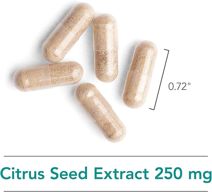 Nutricology Citrus Seed Extract Supplement - Grapefruit Seed Extract 500mg Supports Metabolic Function Contaminant Free Vegetarian Capsules - 120 Count