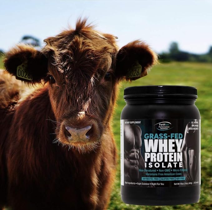 Fortifeye Super New Zealand Grass Fed Whey Protein Vanilla Flavor 40 Servings 2 Pack - Non-Denatured Organic Grass Fed Whey Protein Powder for Workout Sports Nutrition &amp Improve Immune System