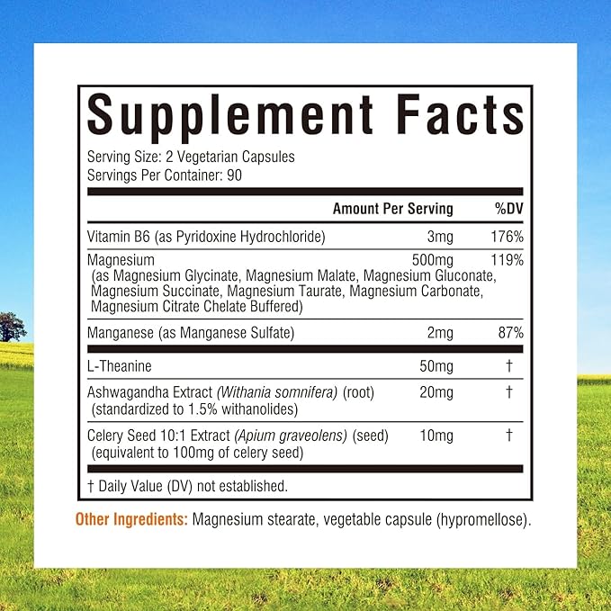Innate Vitality Magnesium Supplement 500mg Magnesium Glycinate Malate &amp Taurate with Vitamin B6 Ashwagandha L-Theanine &amp Celery High Absorption Vegan Non-GMO (180 Count)