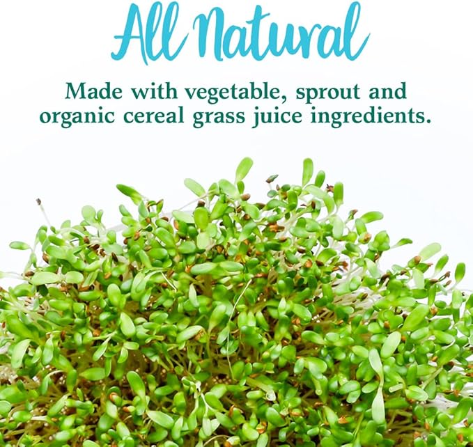 Garden of Life Perfect Food Super Green Formula - 60 Servings 45 Superfoods Greens Fruit &amp Veggie Juice Superfood Powder Supplement Probiotics &amp Organic Spirulina for Digestion &amp Immun
