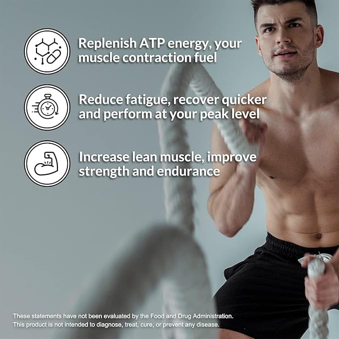 NAKED Chocolate Pea Protein Isolate 5LB Bulk Pure Micronized Creatine Monohydrate 500g (100 Servings) – Plant-Based Vegan Non-GMO Gluten Free Soy Free Lactose Free