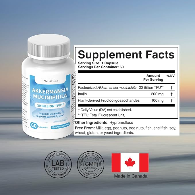 Akkermansia Muciniphila 20 Billion TFU | with Inulin &amp Plant-Based FOS | Gut Barrier &amp Digestive Support | Microbiome Balance Metabolic Support | No Refrigeration Required | 60 Capsules