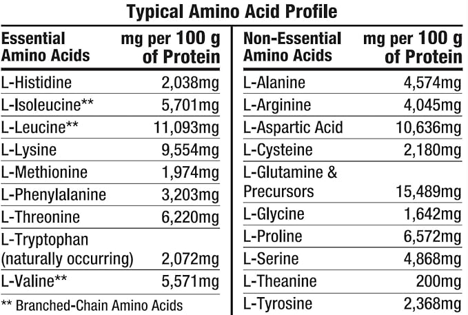 Healthy ‘N Fit 100% WHEY PRO-AMINO v2.0-Chocolate (2lb): 100% Whey Protein PLUS Peptides From America’s #1 Brand in Supplements Technology and Purity.