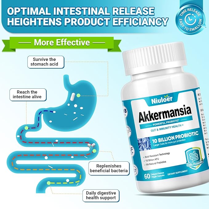 Akkermansia Probiotic Probiotics for Women &amp Men - 10 Billion AFUs + Organic Prebiotics Digestive Gut Immune &amp Overall Health Enhances Gut Digestive Lining Function (60 Capsules 1-Pack)