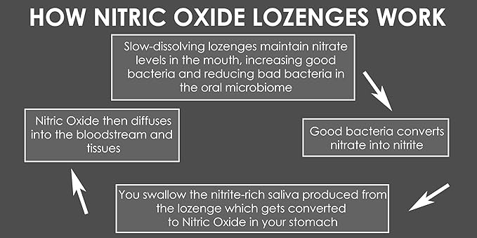 crait Nitric Oxide Lozenges 120 Count Potassium Nitrate that Supports Blood Pressure Circulation Vascular &amp Heart Health – Oral Microbiome &amp pH Balance – Slow Release for NO Bioavailability