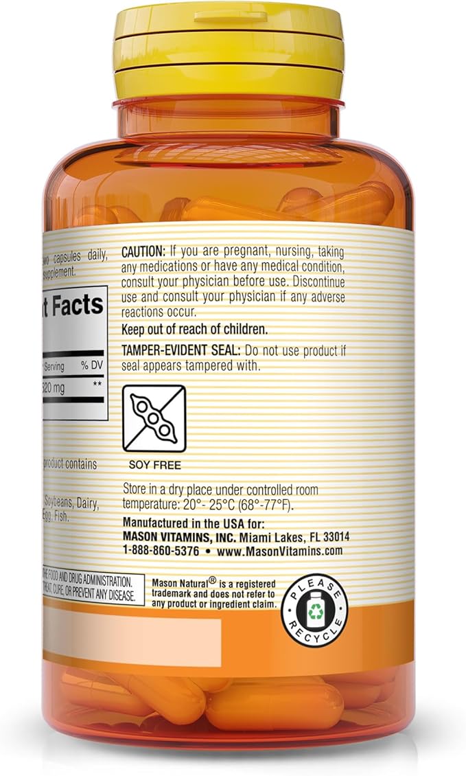 MASON NATURAL Activated Charcoal - Alleviates Gas and Bloating Promotes Natural Detoxification Highly Absorbent Supplement 60 Capsules (Pack of 3)