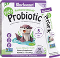 BlueBonnet Nutrition Rainforest Animalz Kids Probiotic 5 Billion CFU^ - Gut Digestive &amp Immune Health - Non-GMO Free of Dairy Gluten Soy Sugar Artificial Flavor &amp Color - Unflavored 30 S