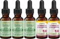 LOVITA Advanced Defense Bundle - 3 Propolis Liquid (500mg) &amp 2 Echinacea Tinctures 18% Bioflavonoids Daily Wellness Support (5 Pc Set)