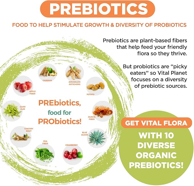 Vital Planet - Vital Flora Advanced Probiotic 100 Billion CFU 100 Diverse Strains 10 Organic Prebiotics Immune Support Digestive Health Shelf Stable Probiotics for Women and Men 30 Capsules