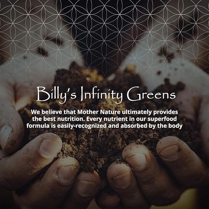 Billy's Infinity Plant Based Protein Bars Healthy Snacks with 18g of Plant Protein Organic Gluten Free Dairy Free Soy Free Sweetened with Dates and Honey (12 Bars)