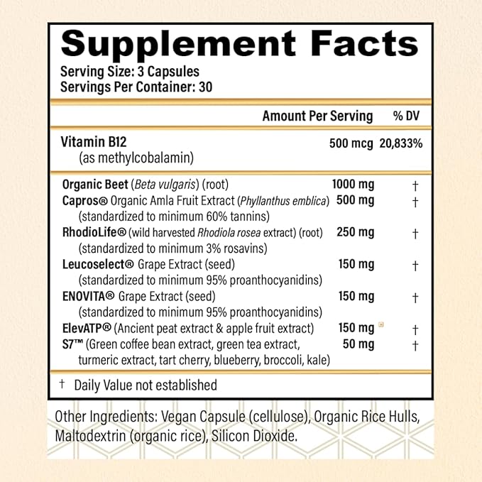 CHOQ Action 2.0 Energy &amp Circulation Support - Rhodiola Rosea Beetroot &amp B12 Supplement - Nitric Oxide Booster for Men &amp Women - Focus &amp Recovery - 90 Capsules