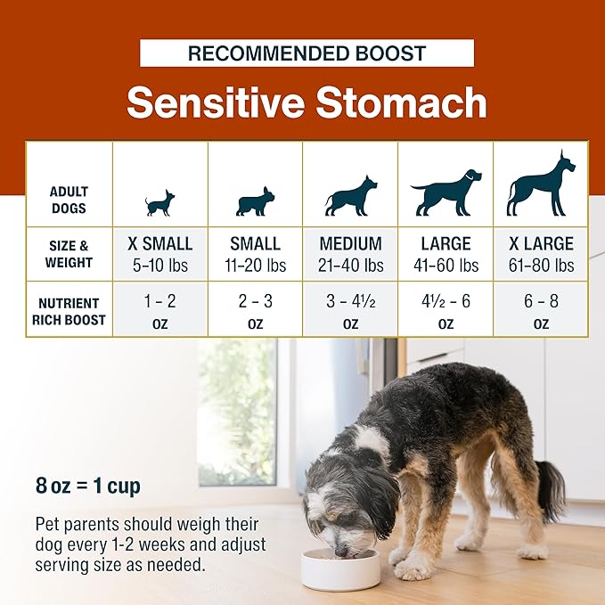JustFoodForDogs JustFresh Boost Sensitive Stomach Dog Food Topper with Fiber for Gut Support &amp Digestive Health Human-Grade Fresh Pet Meal Booster 8 oz Pouches - 8 Pack