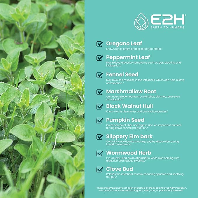 E2H Advanced Intestinal Support - Promotes Gut Health and Digestive System - Wormwood and Black Walnut Extract - Non-GMO Vegan - (2 Bottles)