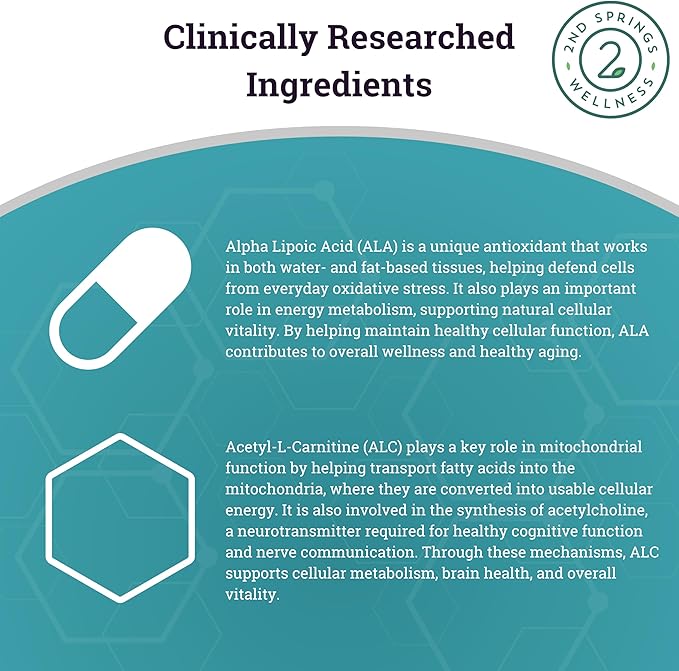 ALA &amp ALC Complex + Vitamin D3 K2 Bundle | Energy Metabolism Cognitive Support Bone Strength Immune Health &amp Daily Wellness
