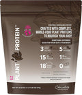 All In Nutritionals EZ Plant Protein Vegan Keto-Friendly Dairy-Free Soy-Free Gluten-Free in Chocolate Blend of Rice Peas Sacha Inchi and Pumpkin Seeds - NO Bloat - with Digestive Enzymes