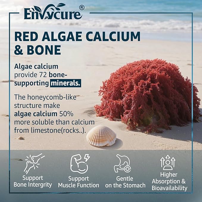 Calcium Gummies 600mg - Calcium Supplement for Women Ocean Algae Calcium | Vitamin D3 K2 Magnesium | for Bone Strength Muscle &amp Immnue | Sustainably Sourced Algae Calcium 70+ Mineral Vegan2