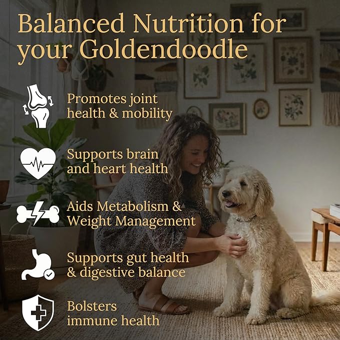 Multivitamins Balanced Nutrition for Your Goldendoodle 90 Count Made in The USA with Real Bacon
