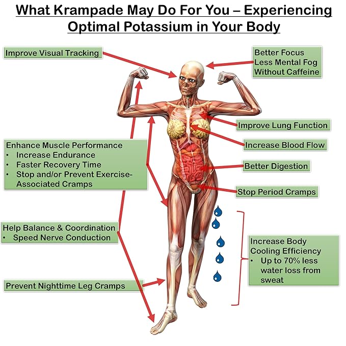 Krampade High Fiber High Potassium Electrolyte Powder Lemon Lime 9g Dietary Fiber 3950mg Electrolytes 2000mg Potassium 50mg Magnesium Digestive Health Support Leg Cramp Relief 19 Servings