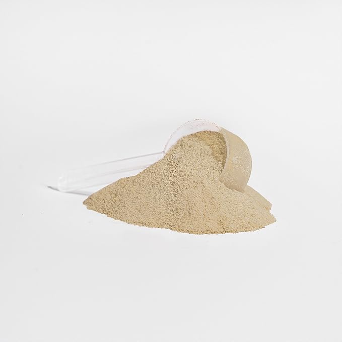 100% Whey Protein Isolate Vanilla 22g Protein MCT Oil Digestive Support Non-GMO Lab Tested Muscle Recovery Shake