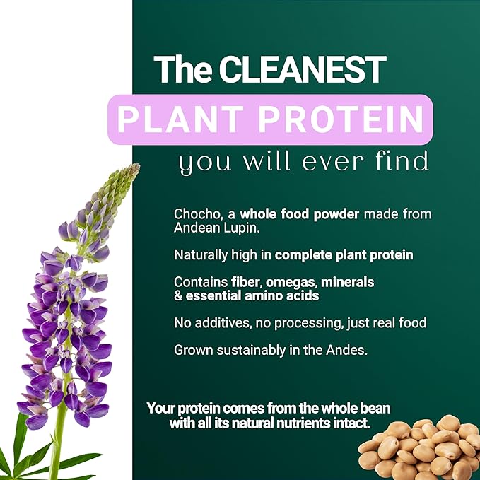SEED Chocho Pure Plant-Based Protein Powder Gluten Free Dairy Free Soy Free Non-GMO 17.6 oz