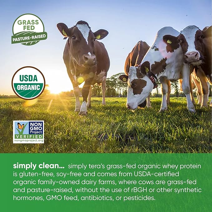 simply tera's organic whey protein powder dark chocolate flavor